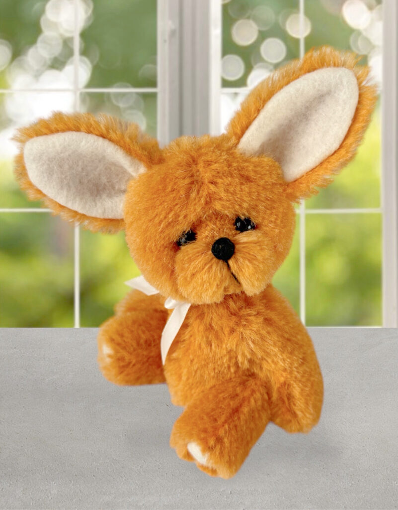 Clementine orange artist bunny rabbit by Laura Lynn
