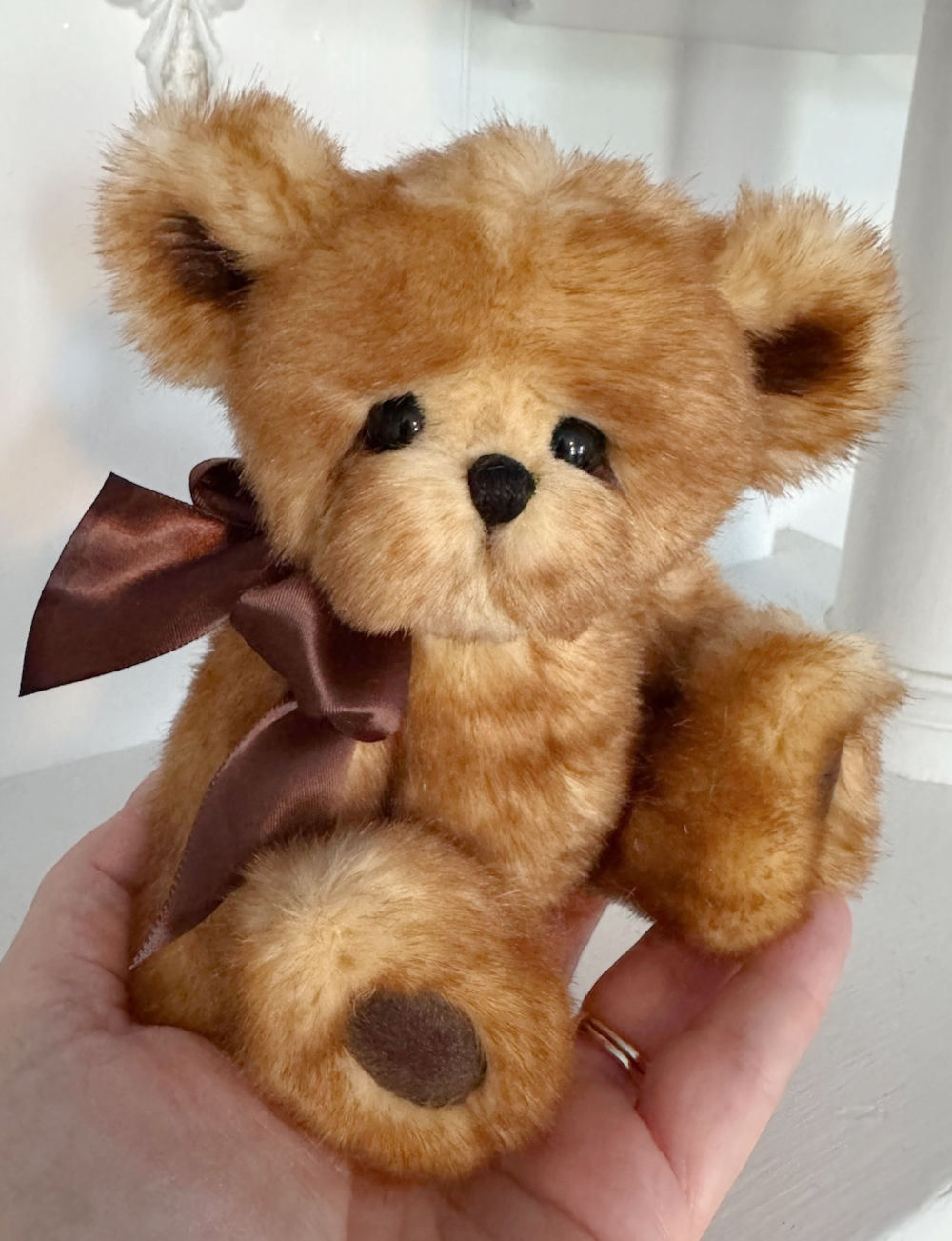 Cookie - 6 1/2" Super Soft Artist Teddy Bear